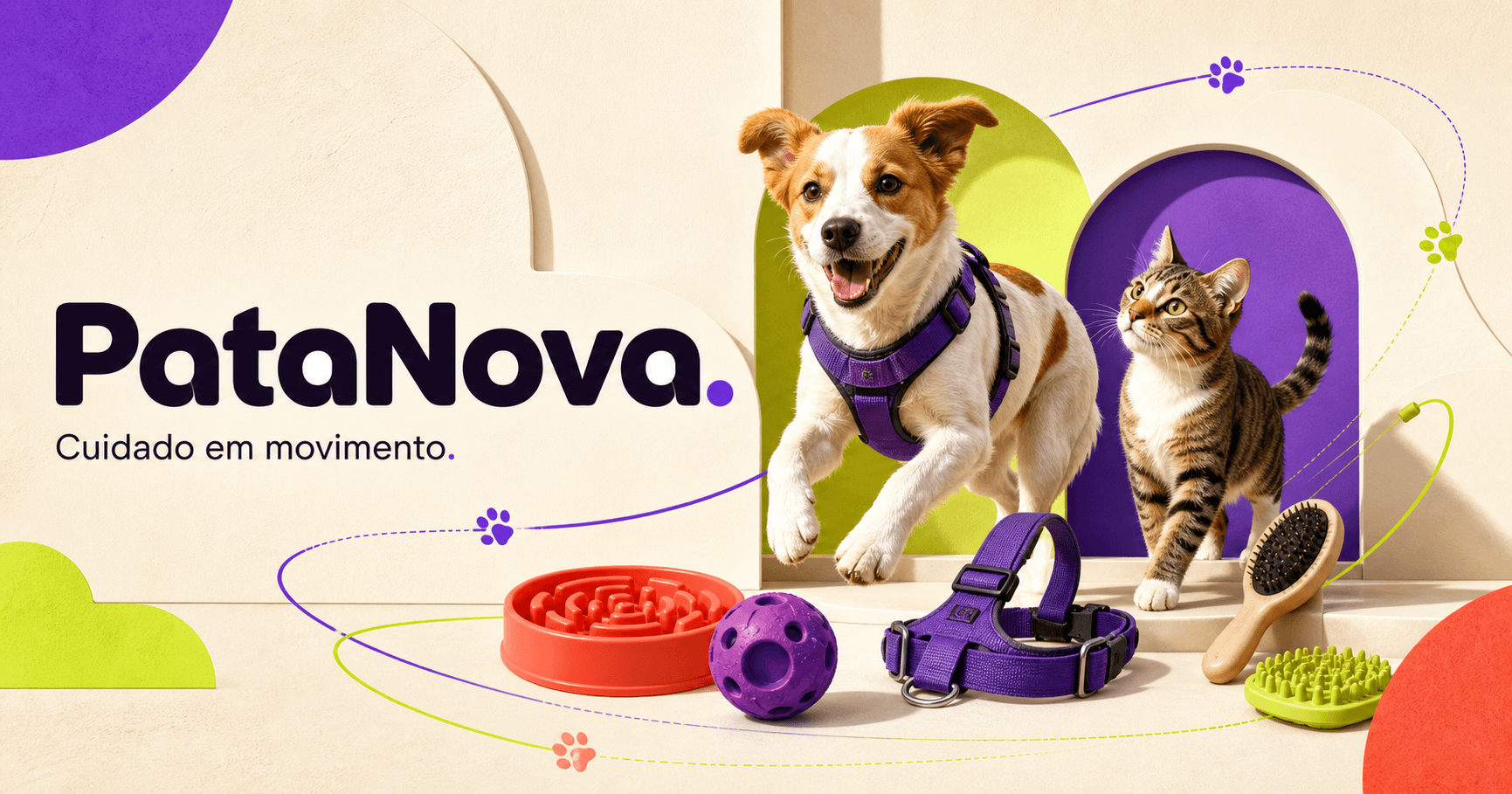 Cão e gato em movimento com acessórios da rotina pet